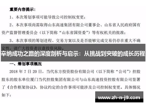 辛纳成功之路的深度剖析与启示：从挑战到突破的成长历程